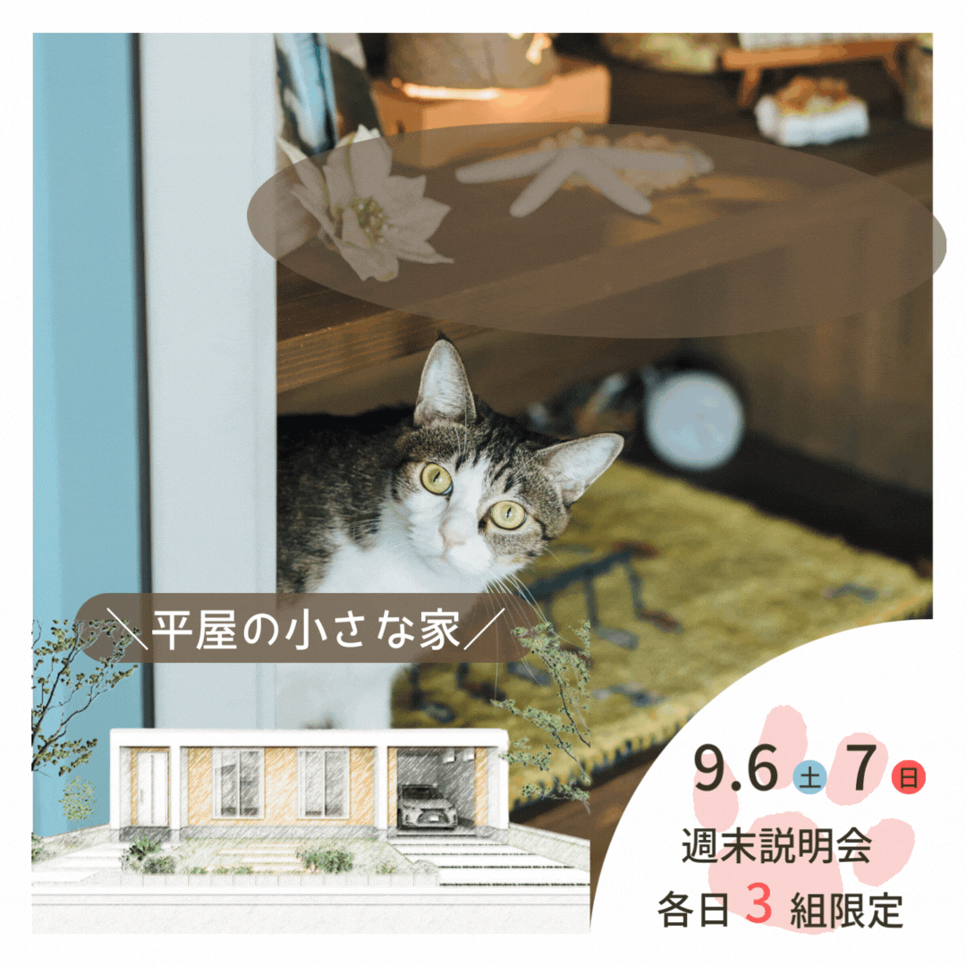50代から叶える、ペットと暮らす小さな家